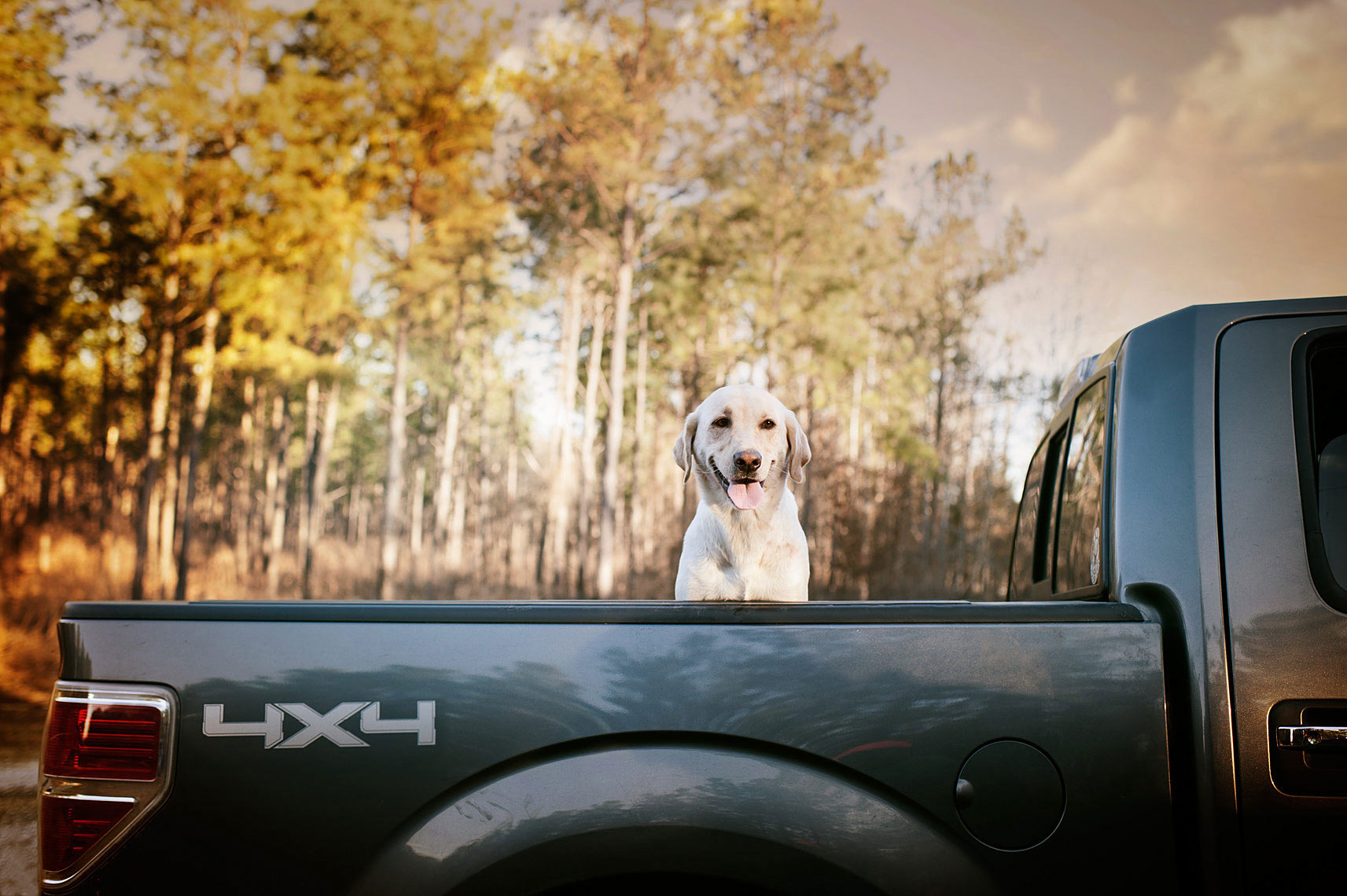©Robb Scharetg - Jemma and her Toyota 4x4 .  DC photographer , SF photograper 