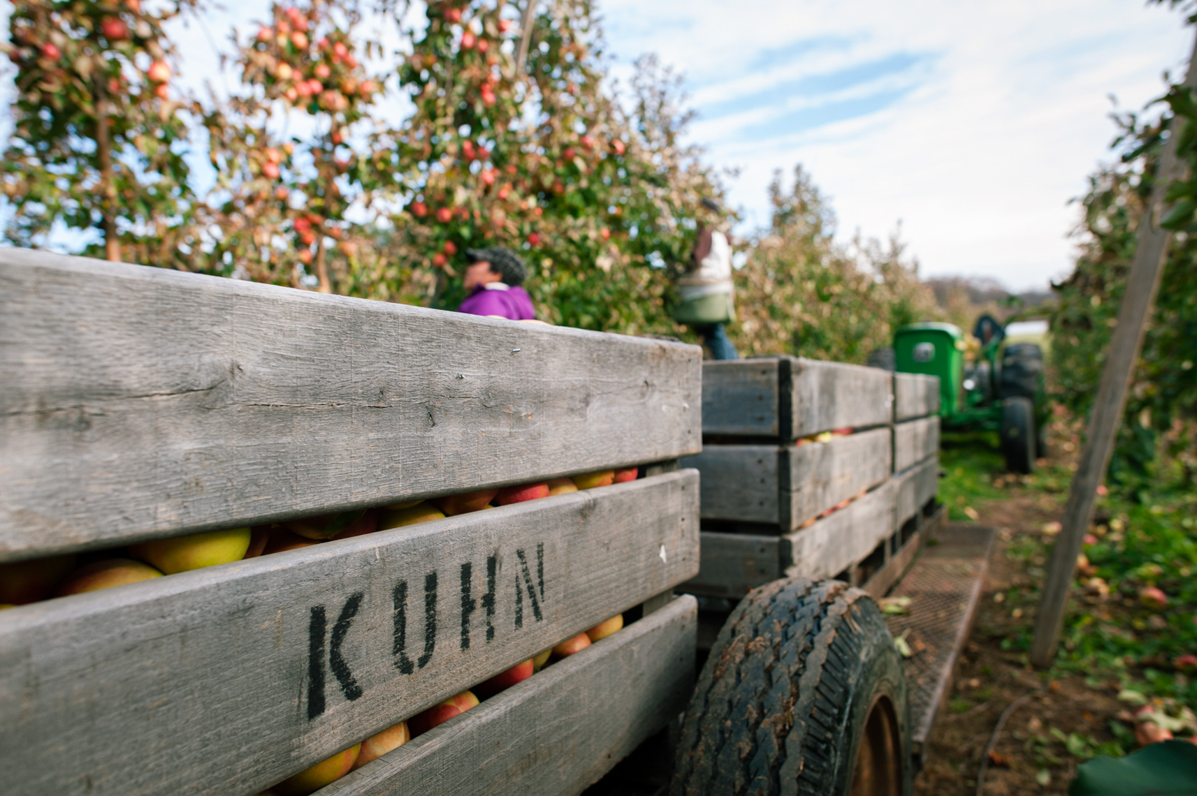 Kuhn Orchards
