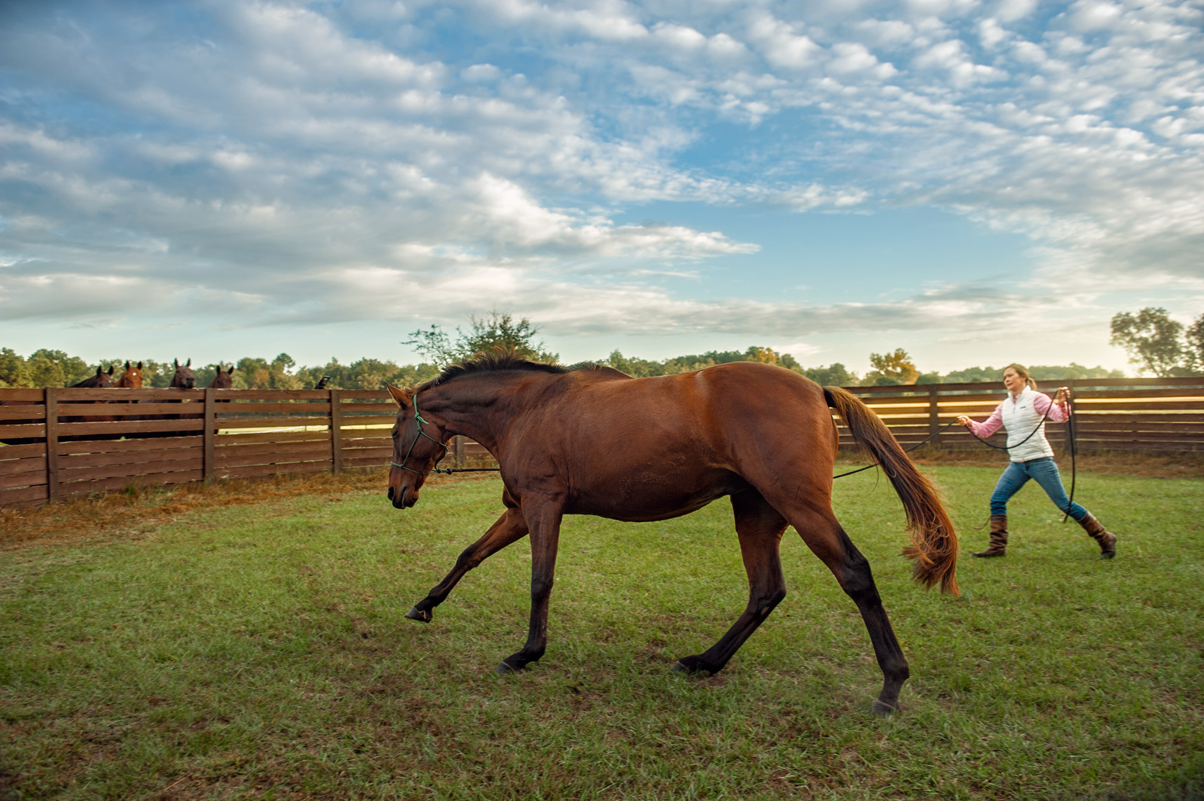 Dr. Shelley Onderdonk DVM, exercising one of her horses
