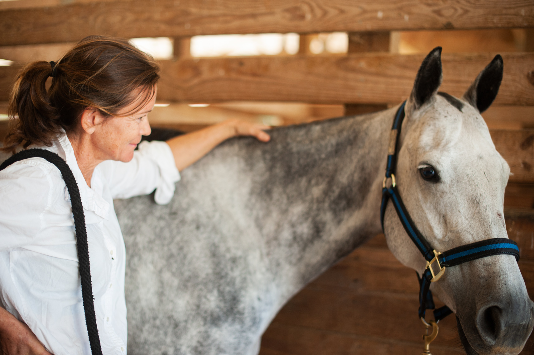Dr. Shelley Onderdonk, DVM - with one of her equine patients