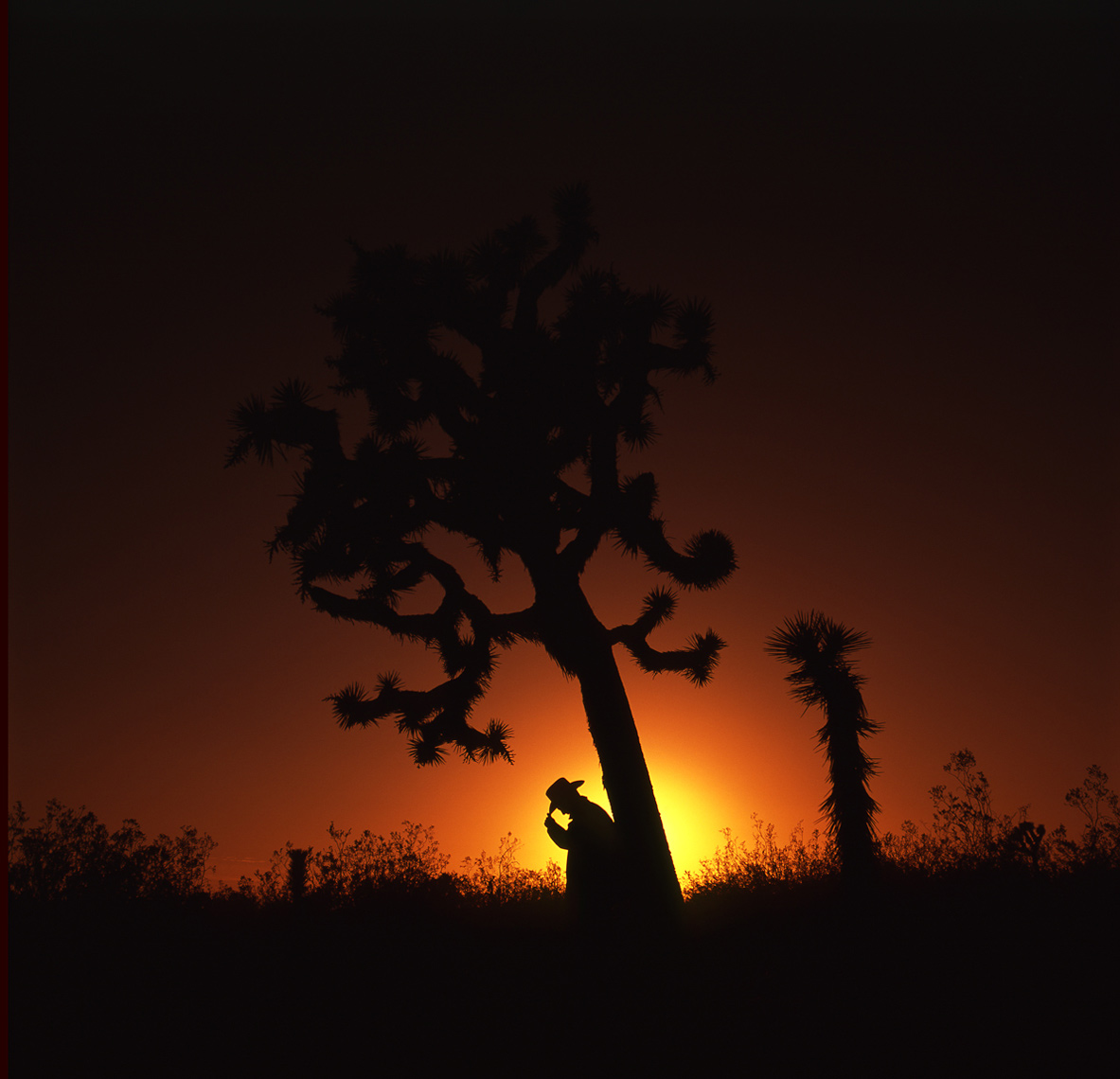 ©Robb Scharetg - self portrait - Joshua Tree CA .  DC photographer , SF photograper 